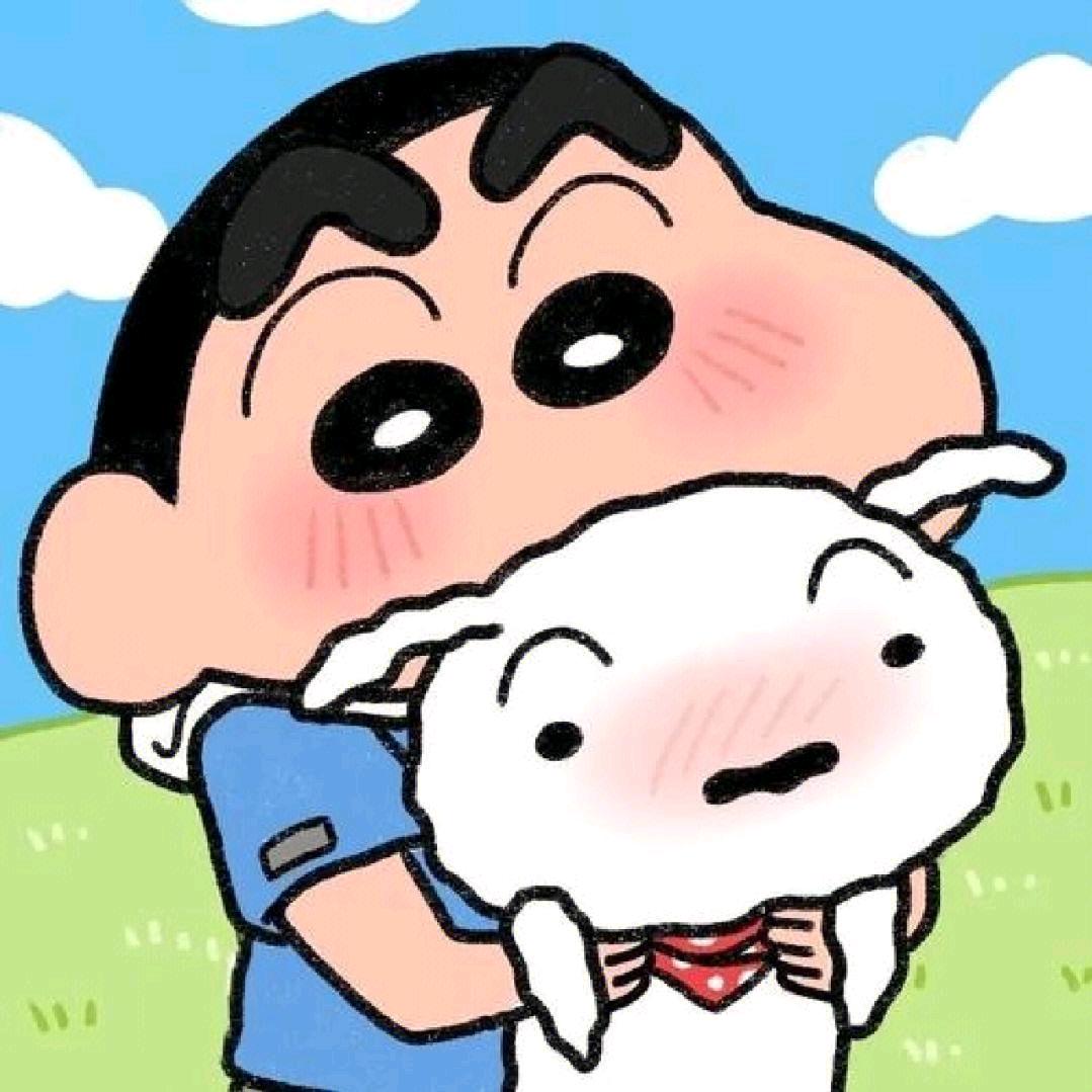 一只小新新