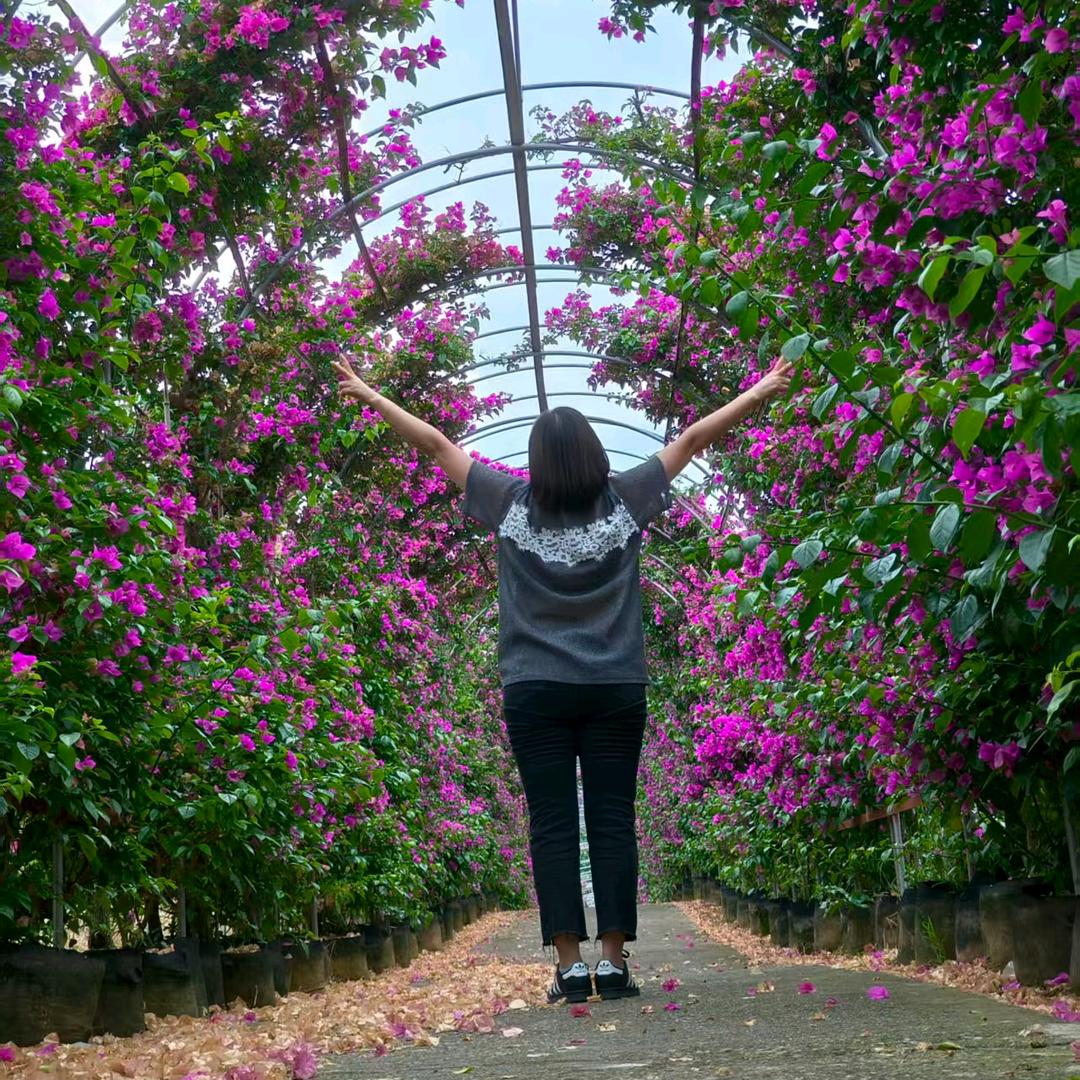 清醒自律，知进退，明得失