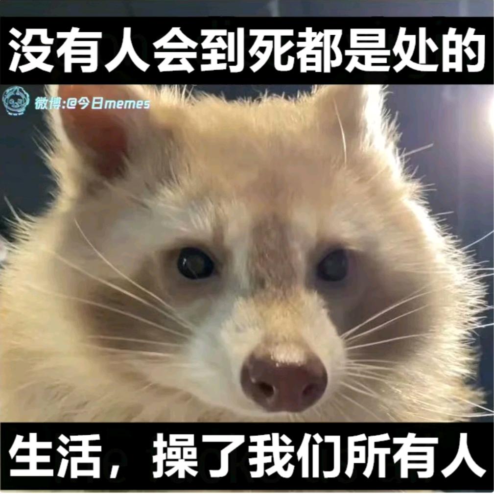 美其名曰其鱿