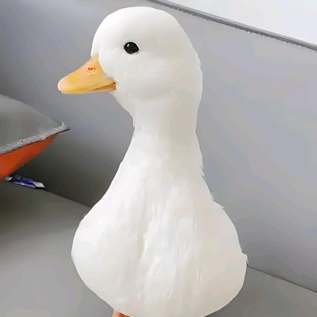 前进吧！富哥。