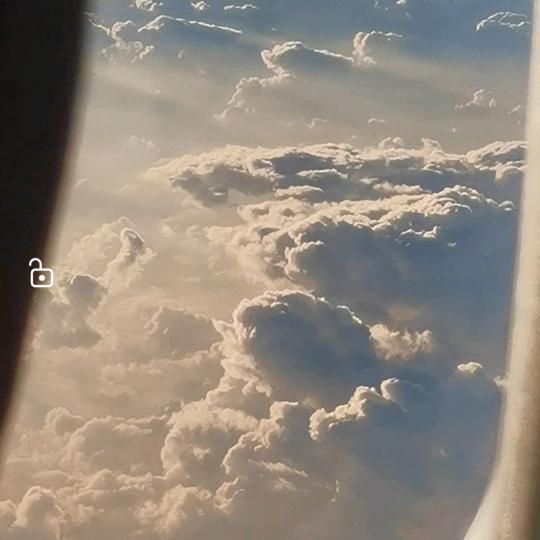 L Y F