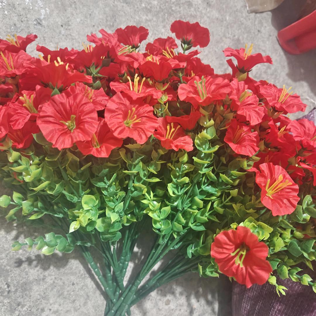 ꧁꫞幸🌈࿅࿆运🌟星꫞꧂