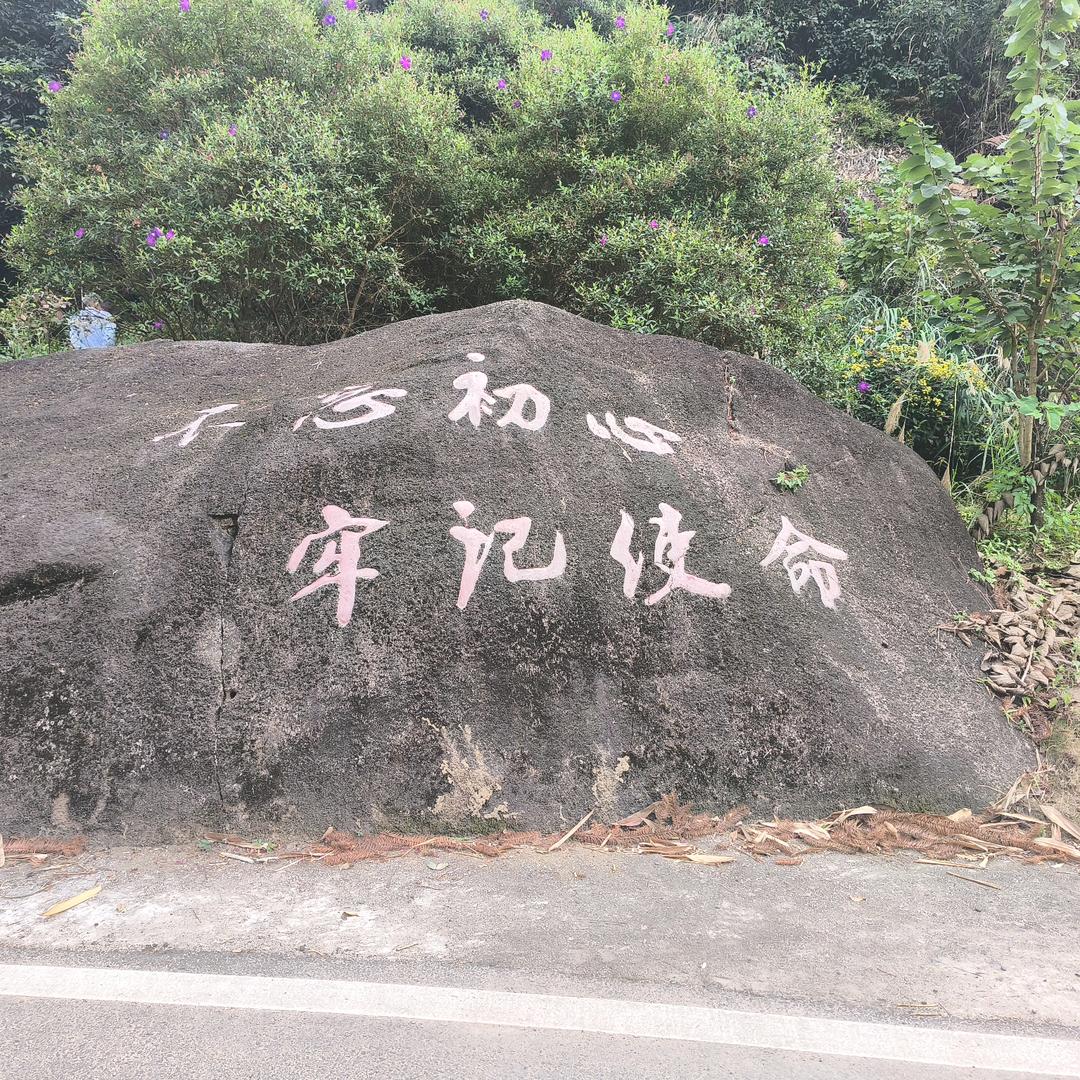 青兴6号