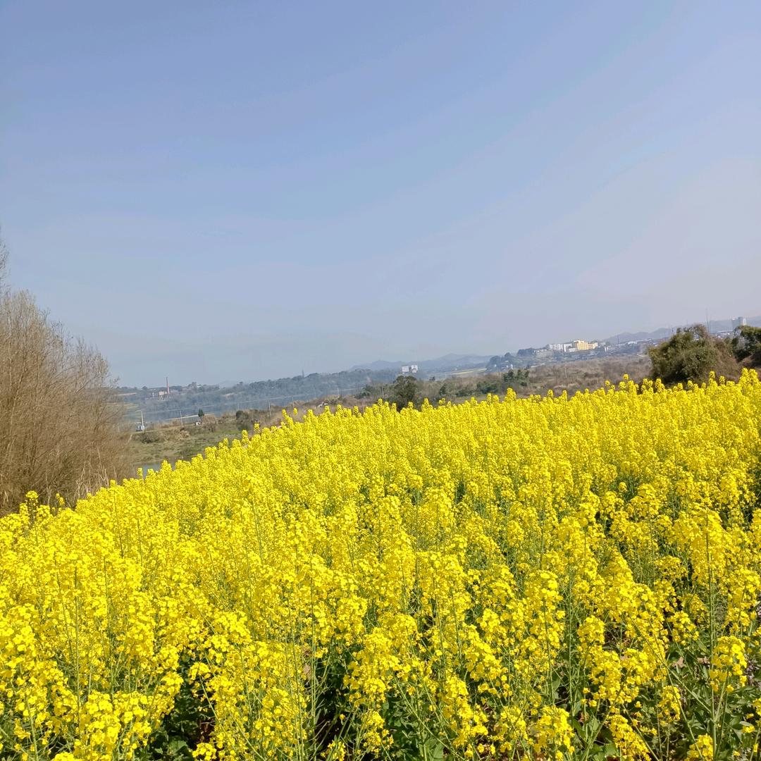 山沟沟里的农村人