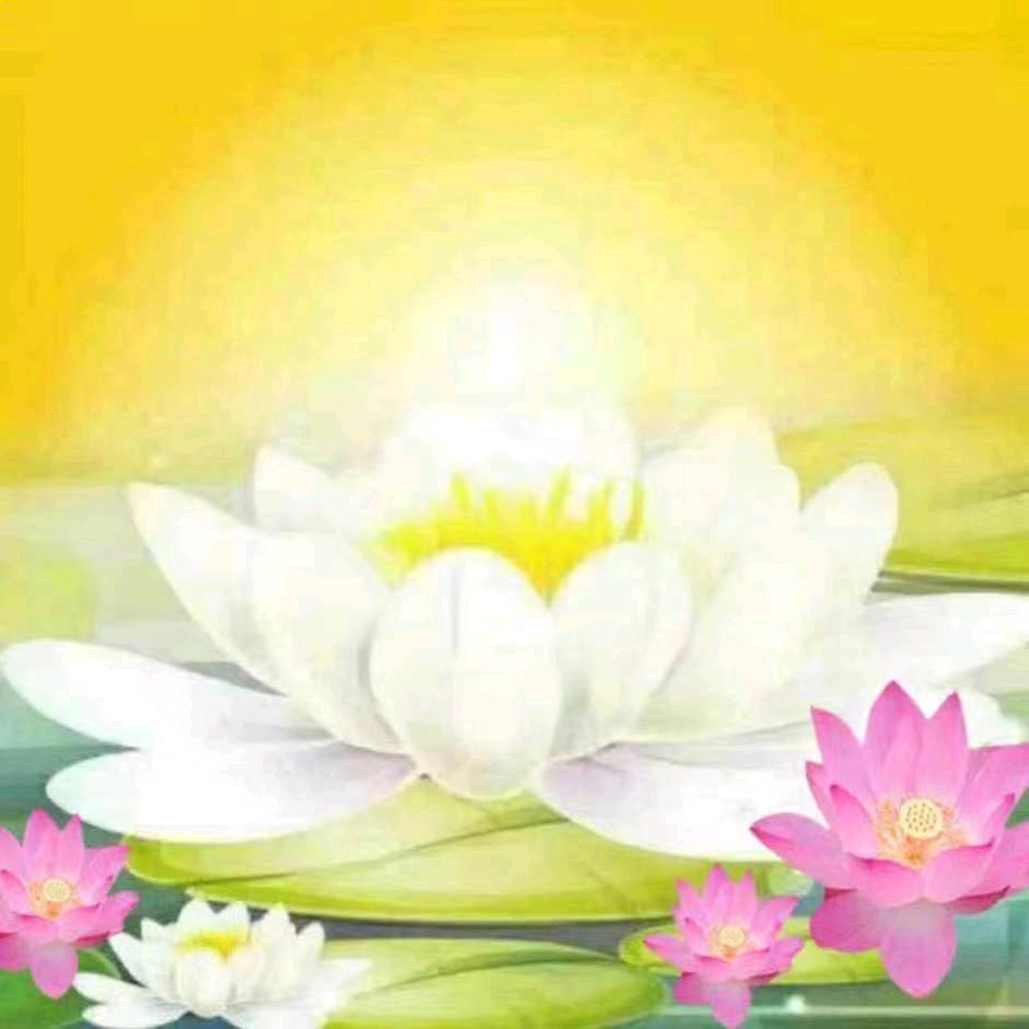 芒果汁