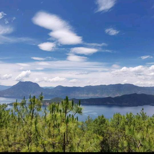风情榜样