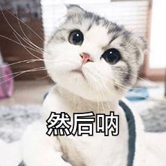 可笑的木偶
