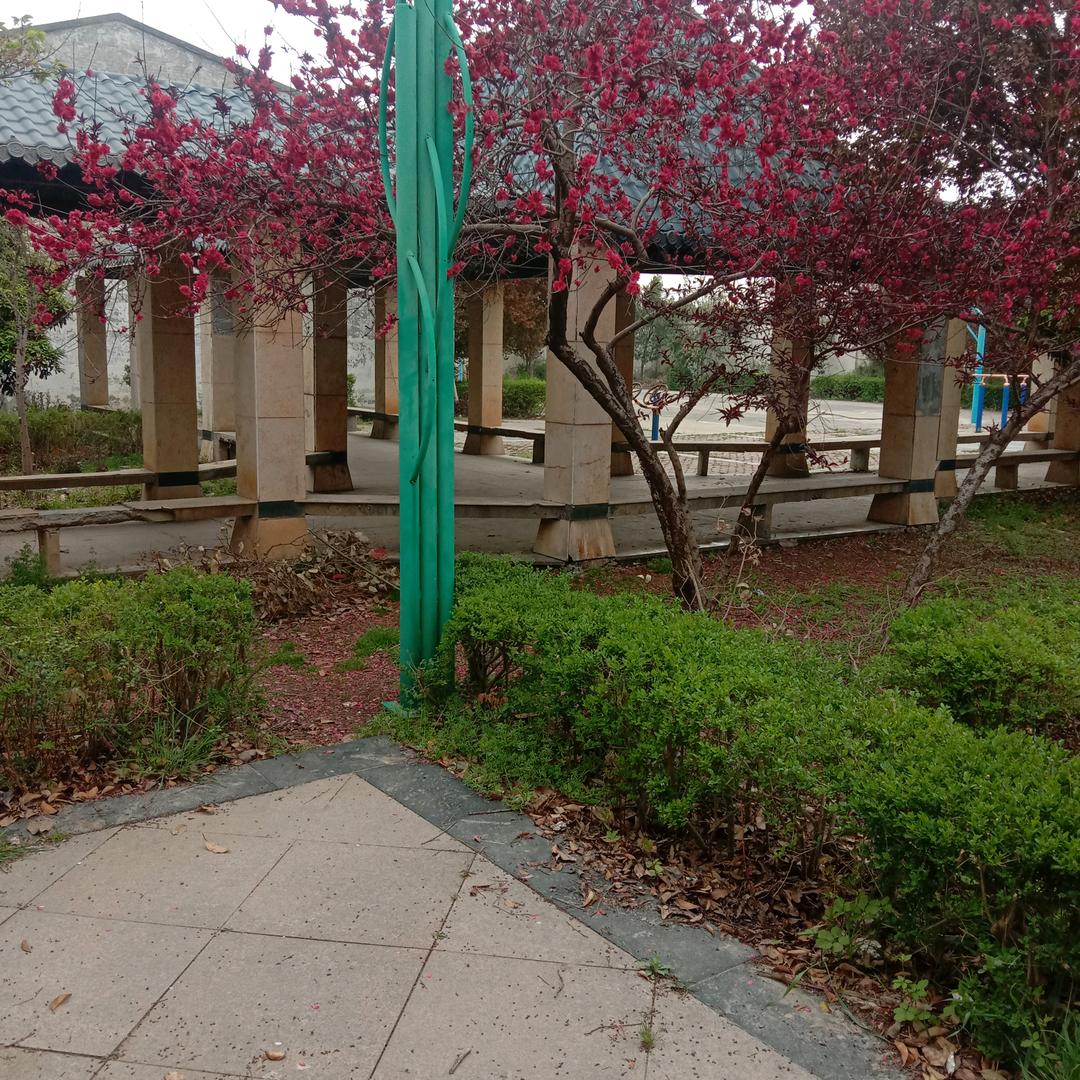 长按上方图片识别二维码，立得现金