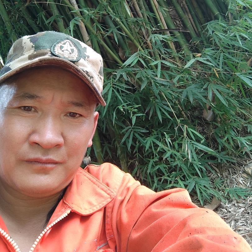 吉祥盛唐