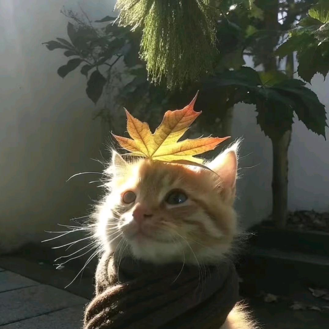 o3iu