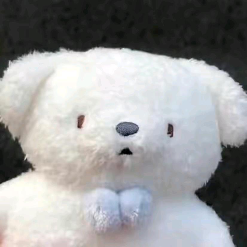 雾蒽(已登船版)