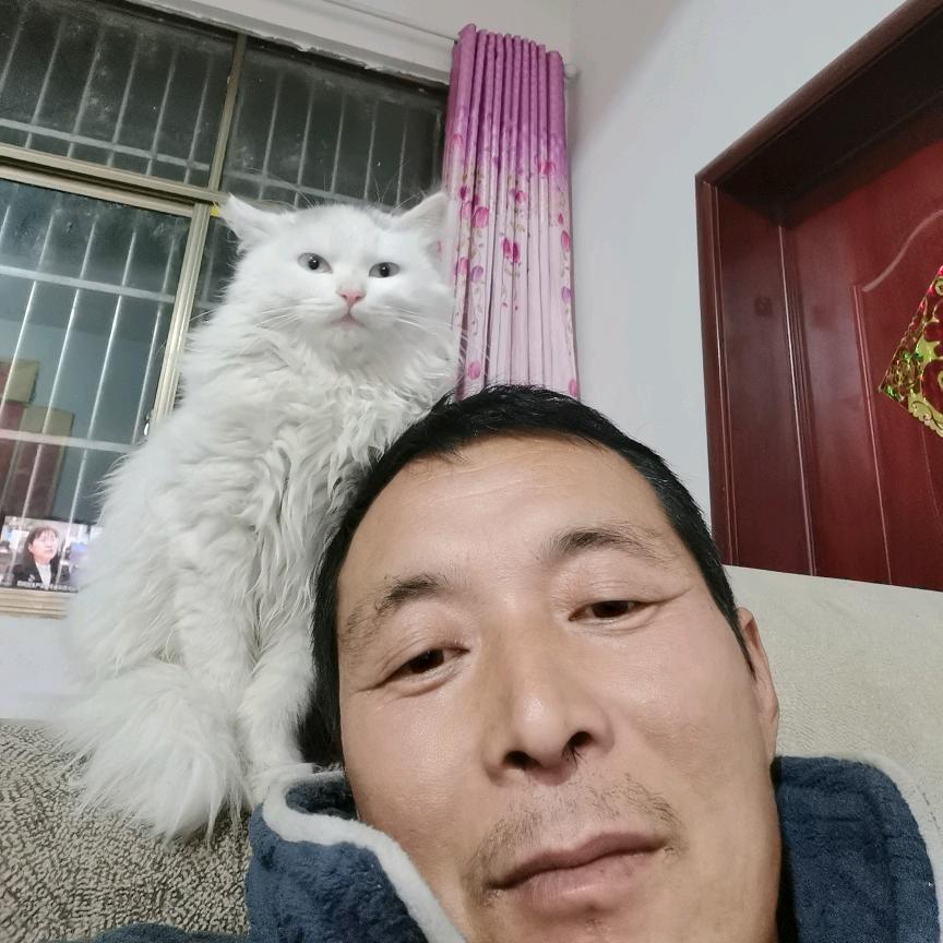 放弃你我做不到啊