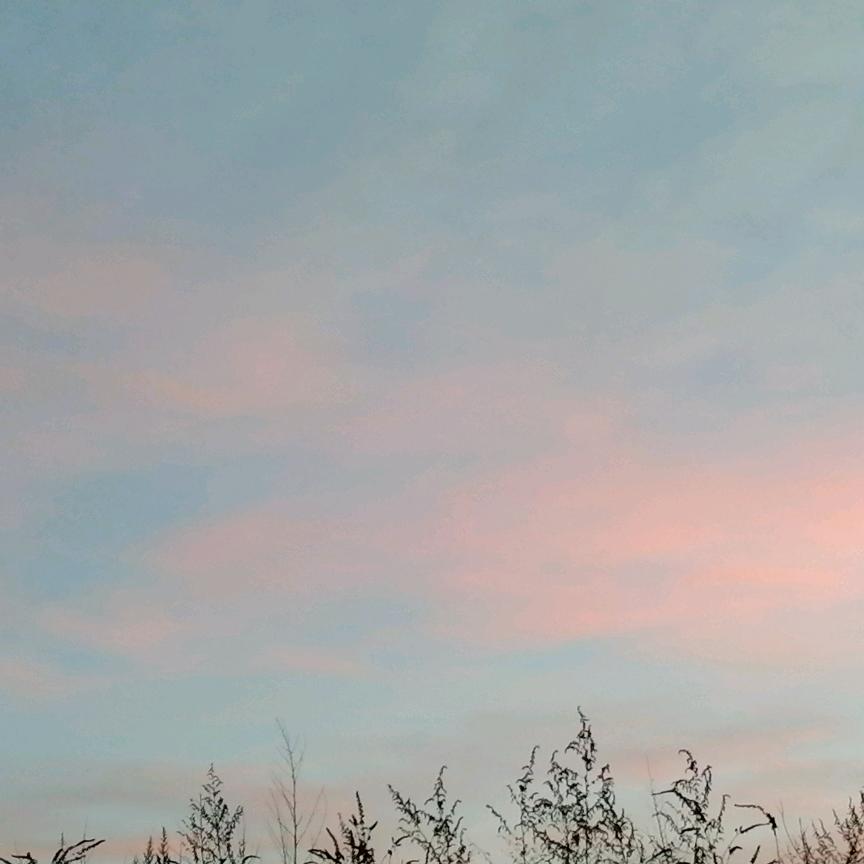 命中注定的缘分