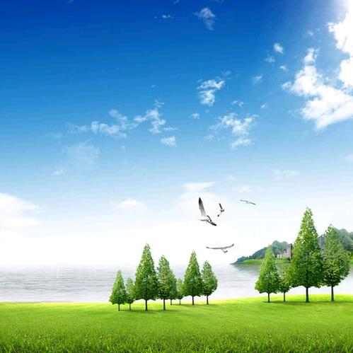 海阔天空264047969