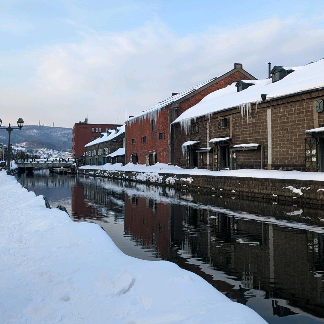 一个没感情的馒头