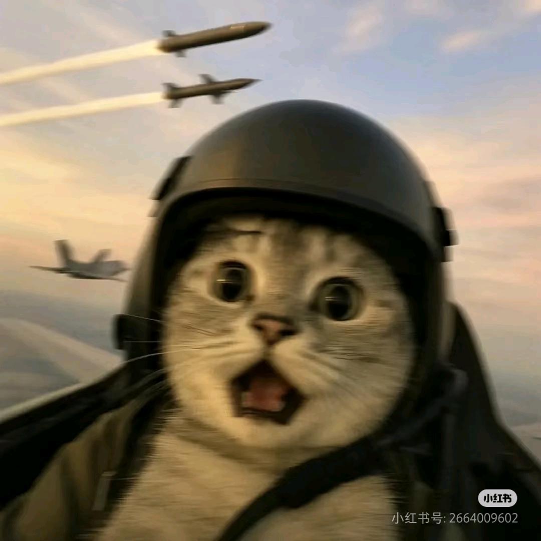 大头007