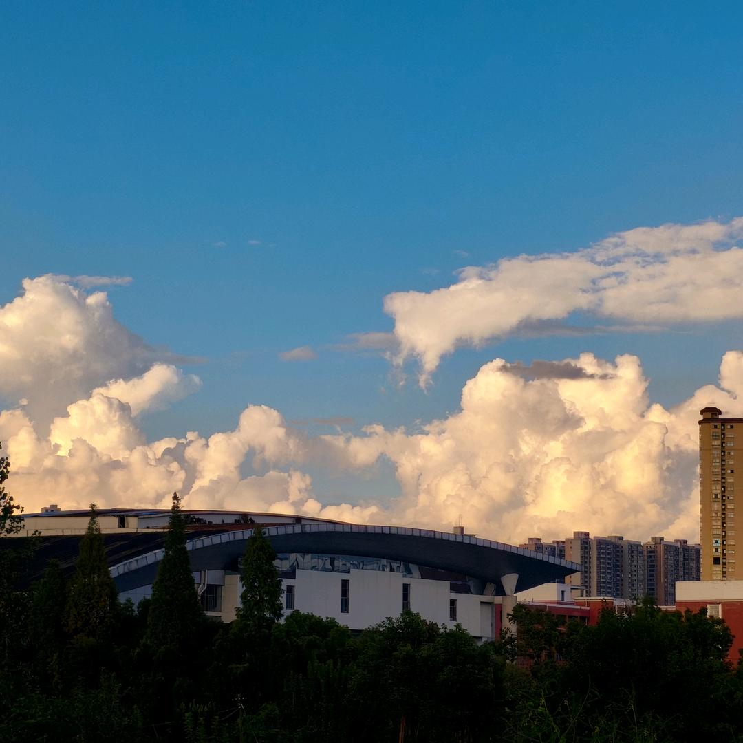 火龙果🥦🥦🥦