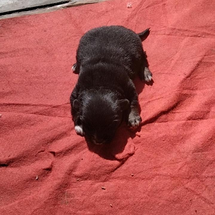 好山好水好地方