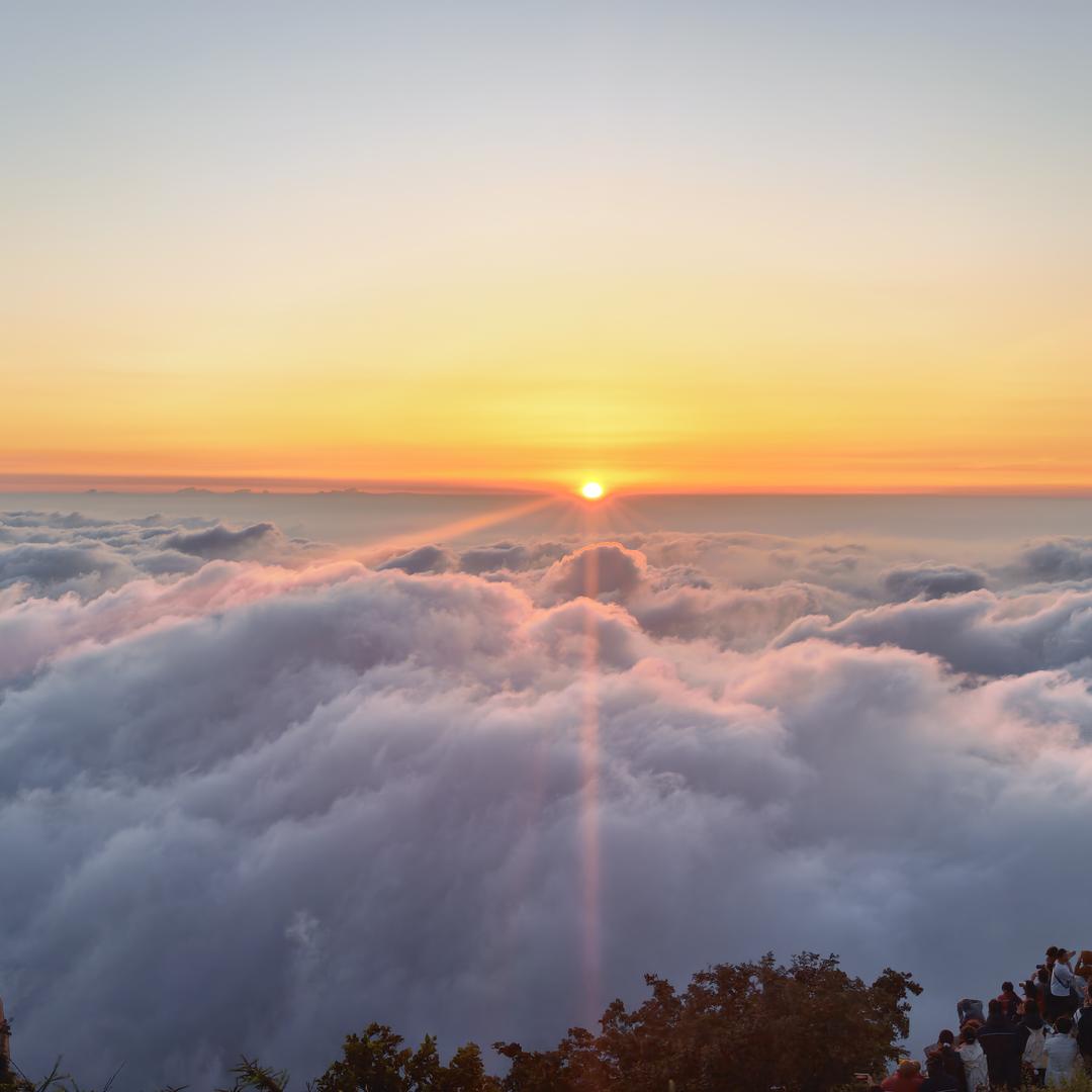 🌈☀不空军🌈🌈