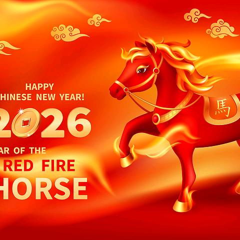 2026爱的一匹狼