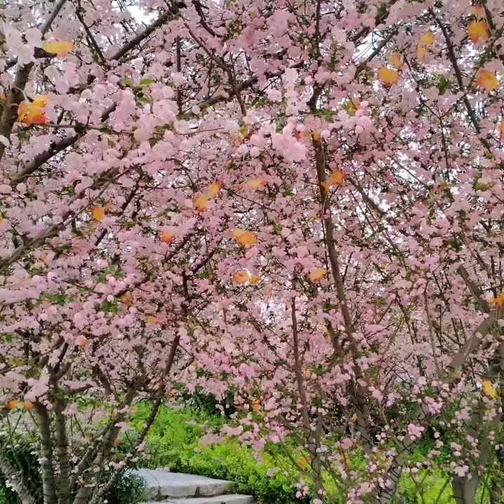 薛志强我永远幸福快乐