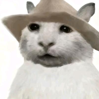 蛋