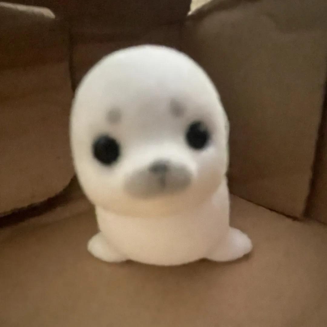 泪浅