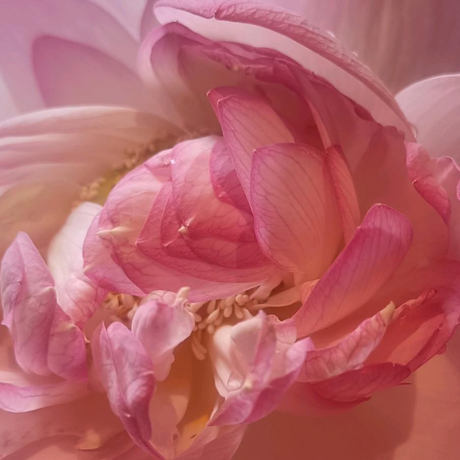 一个人也要，好好爱自己