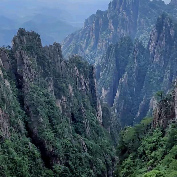小恩哥