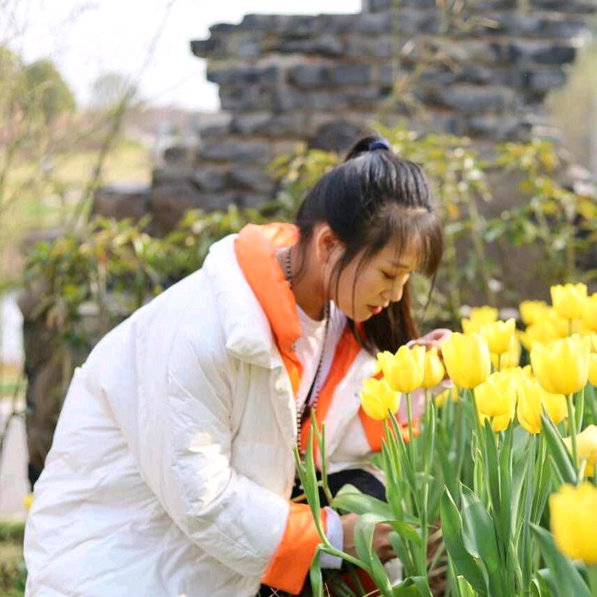 鲁台你小妹
