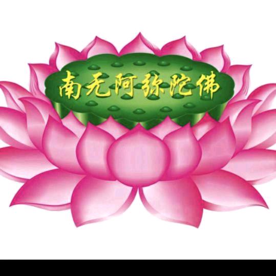 🌸善缘🌸