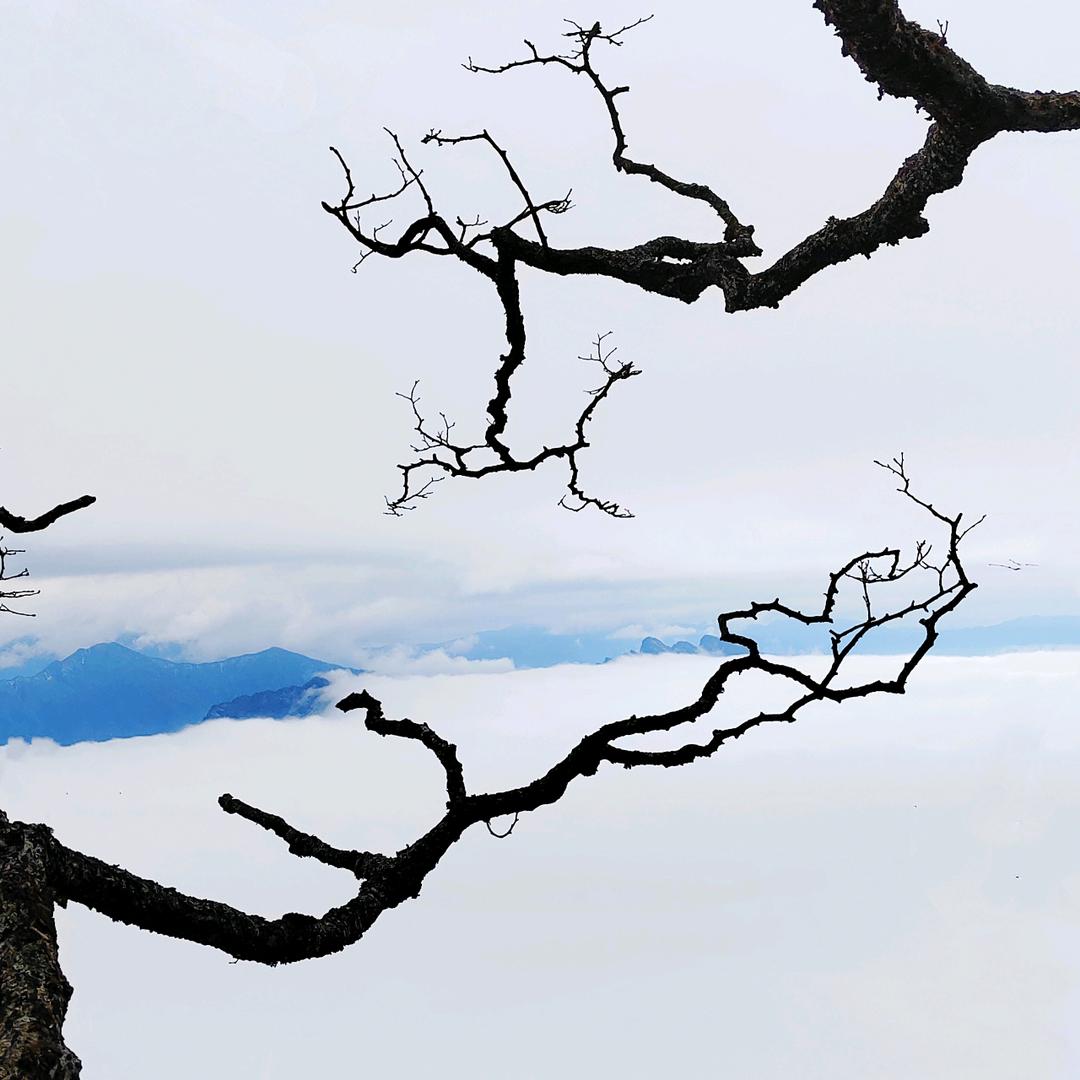 笑观山水头像