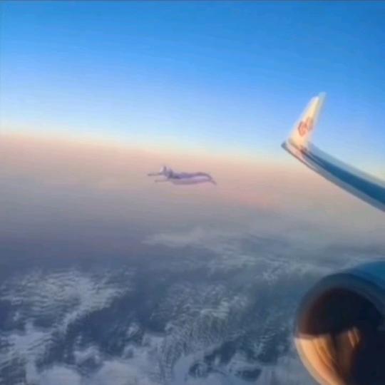 断水流大师兄