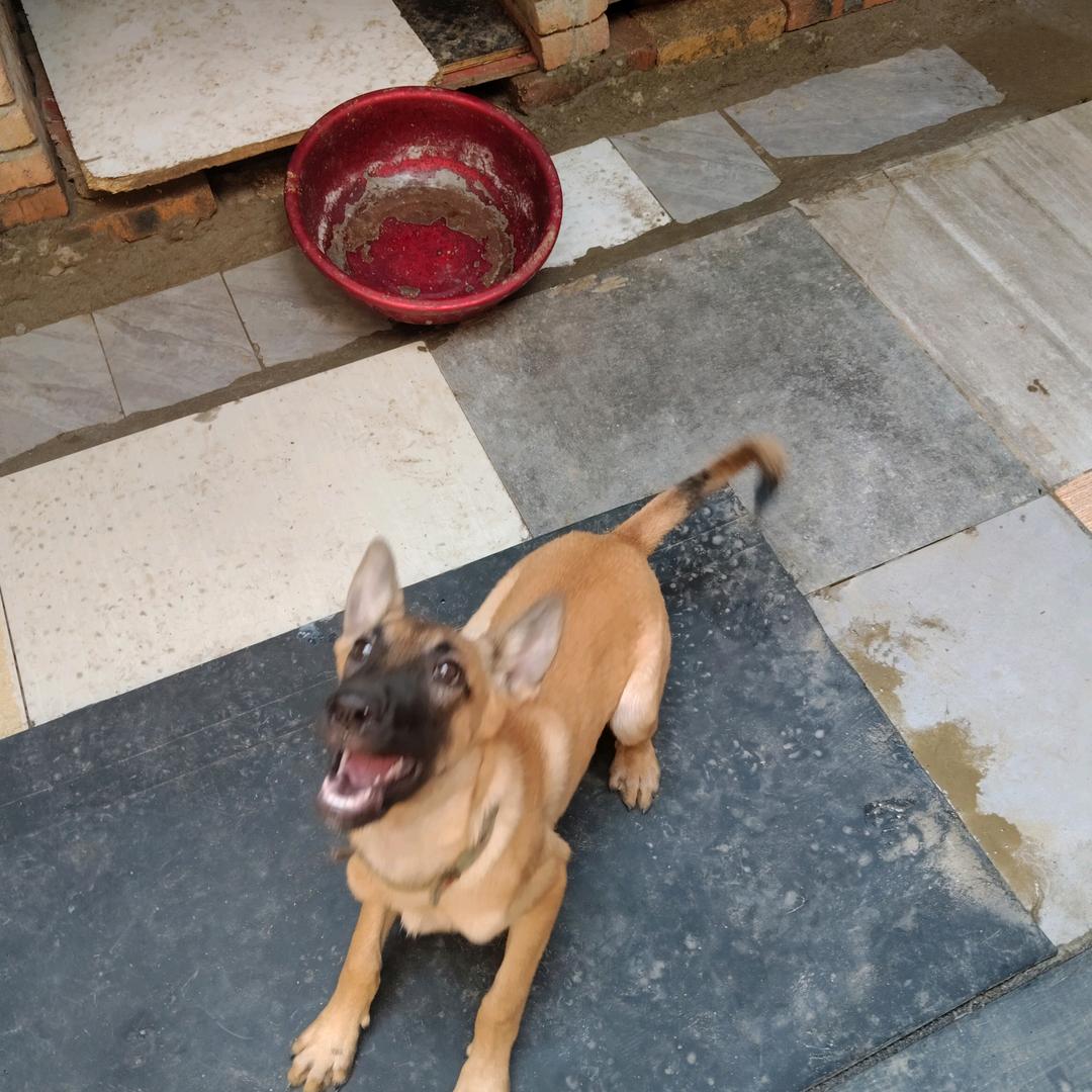 杨丰收，安徽省宿州市祁县村人