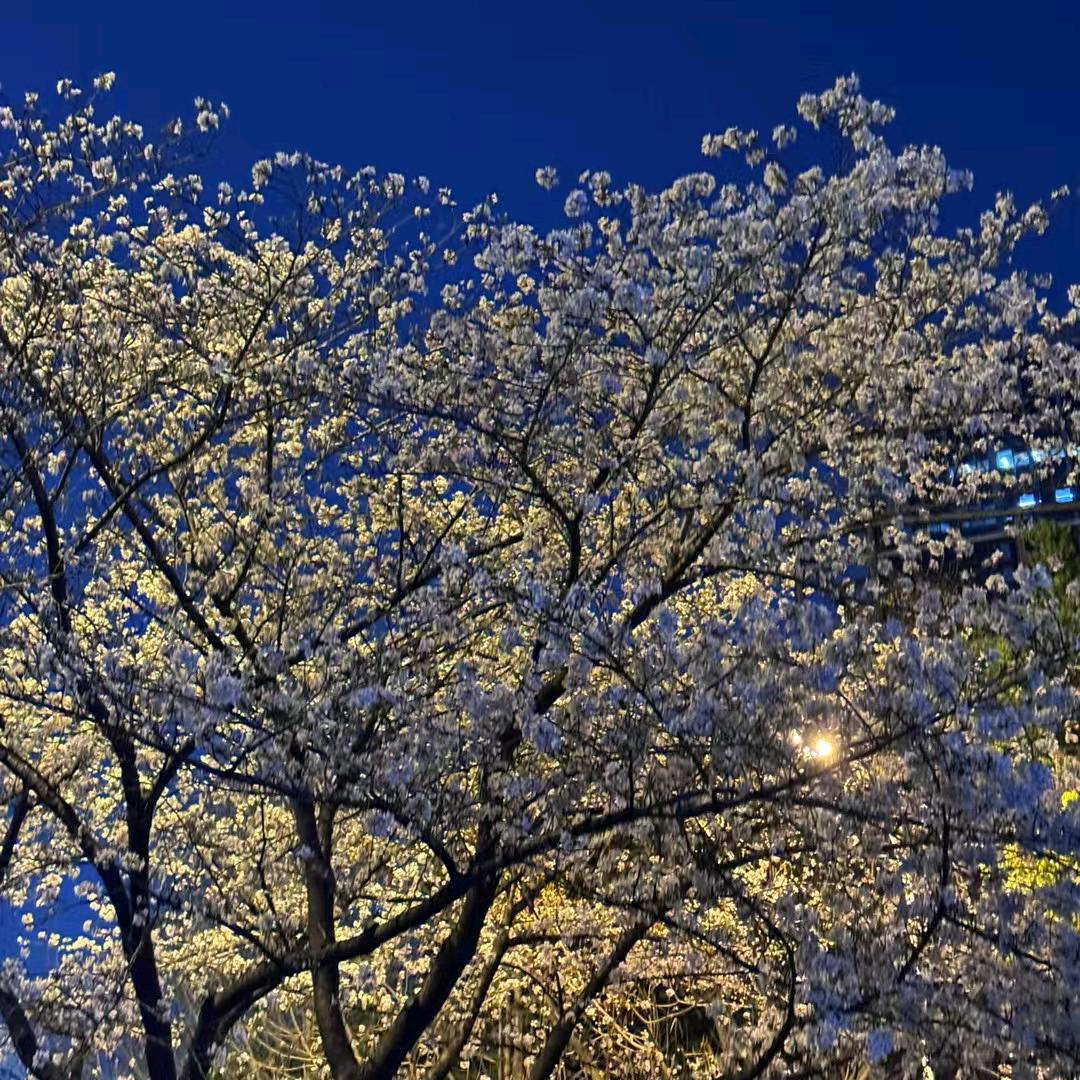 枫桥夜泊木桶浴