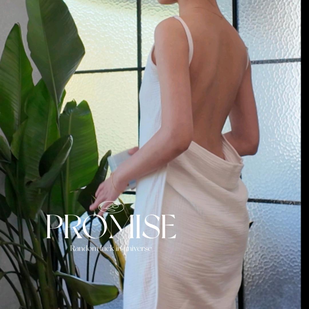 普罗密思PROMISE