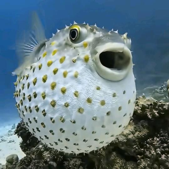 周文振