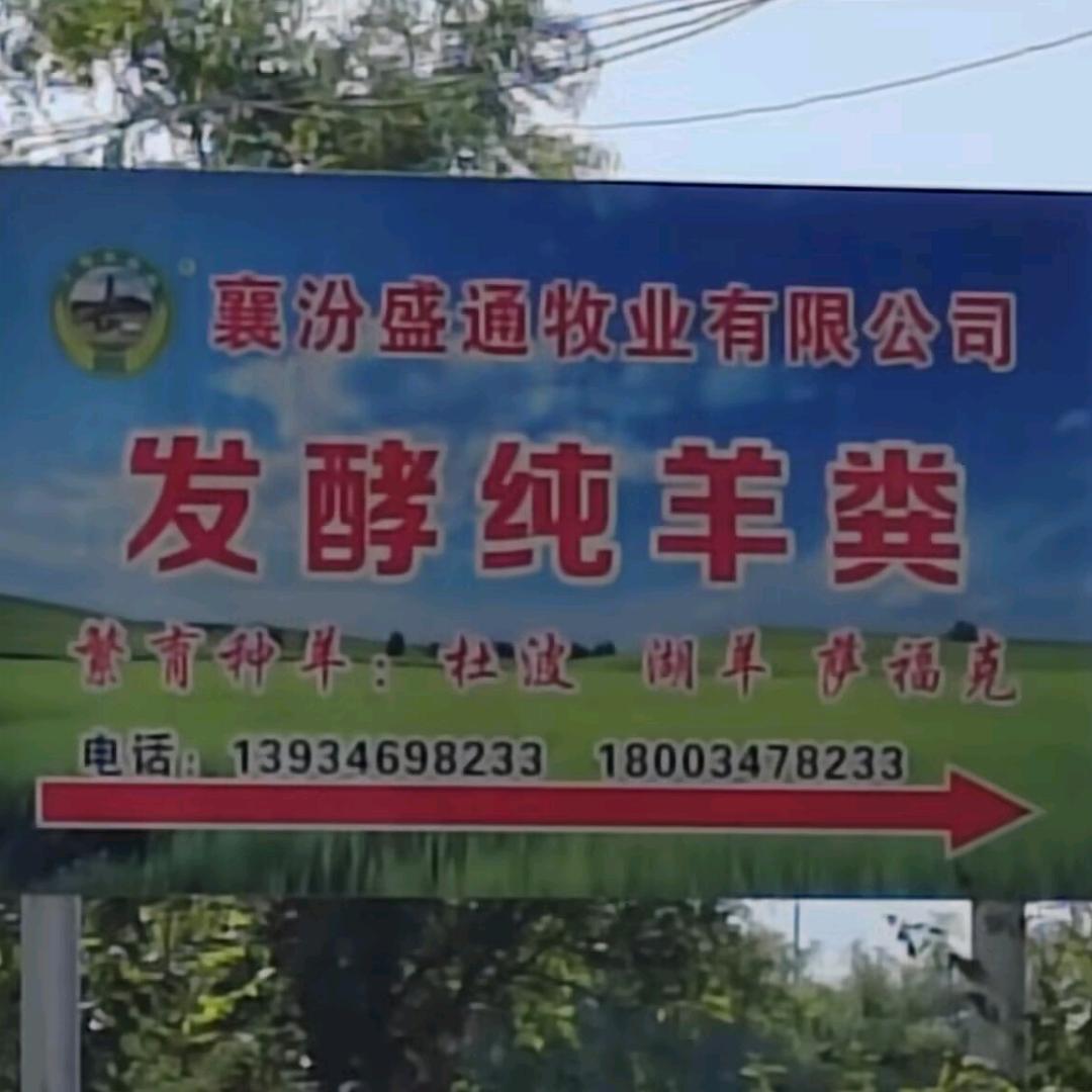 发酵纯羊粪【陶寺遗址博物馆】