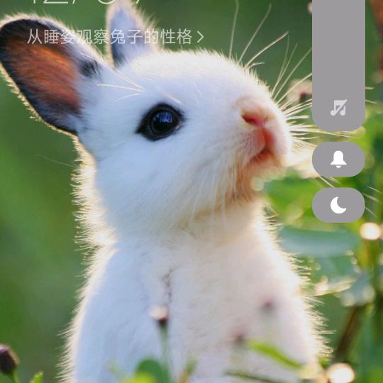 都在呢亲