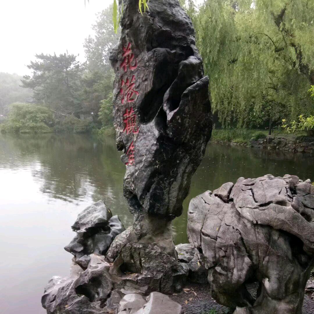 风光无限好