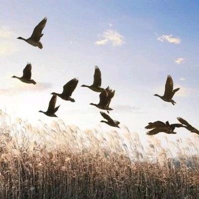 欣领航教育王老师