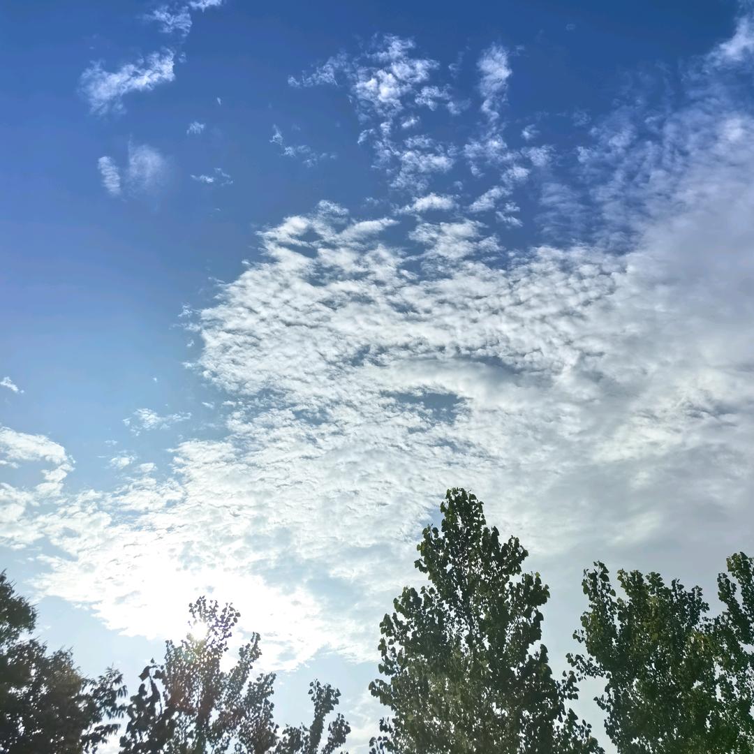 🌈公主👸妈🌈