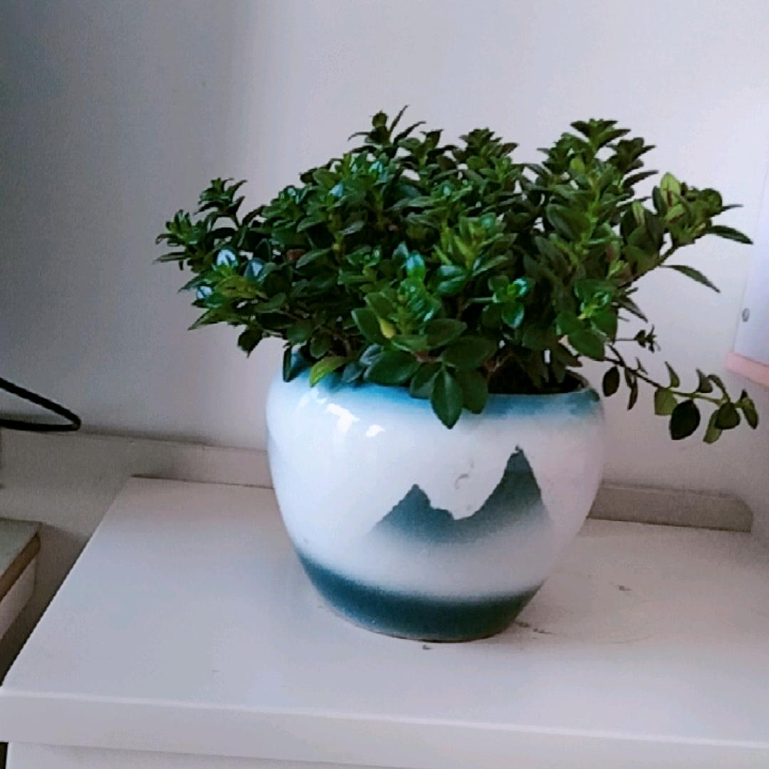 一生平安