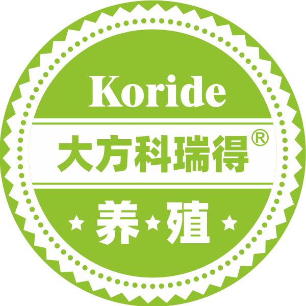 飞翔鸽舍（大方科瑞得）