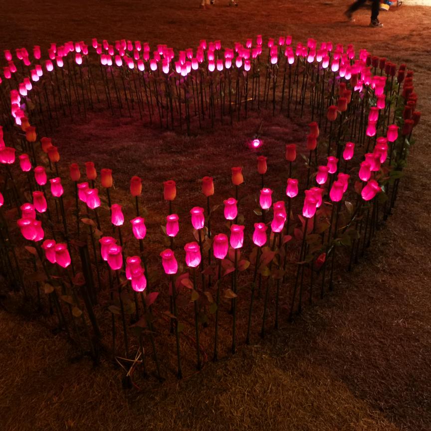 你是我的酸梅汤