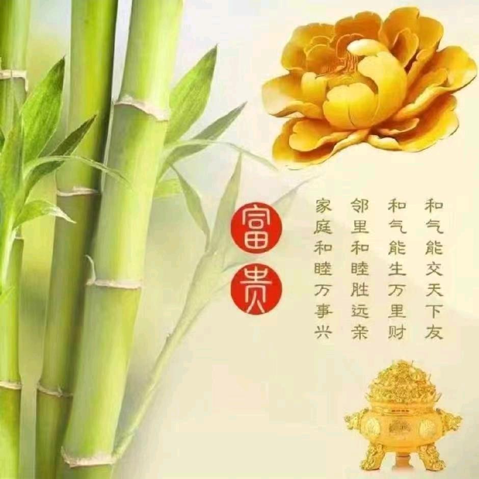 兩仪点穴传承人（申峻伍）
