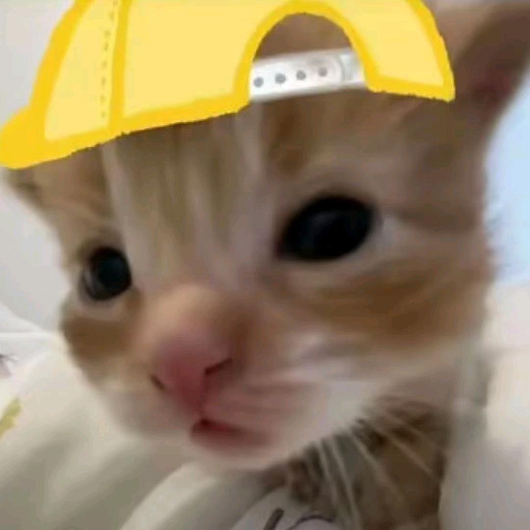 一抹浅念