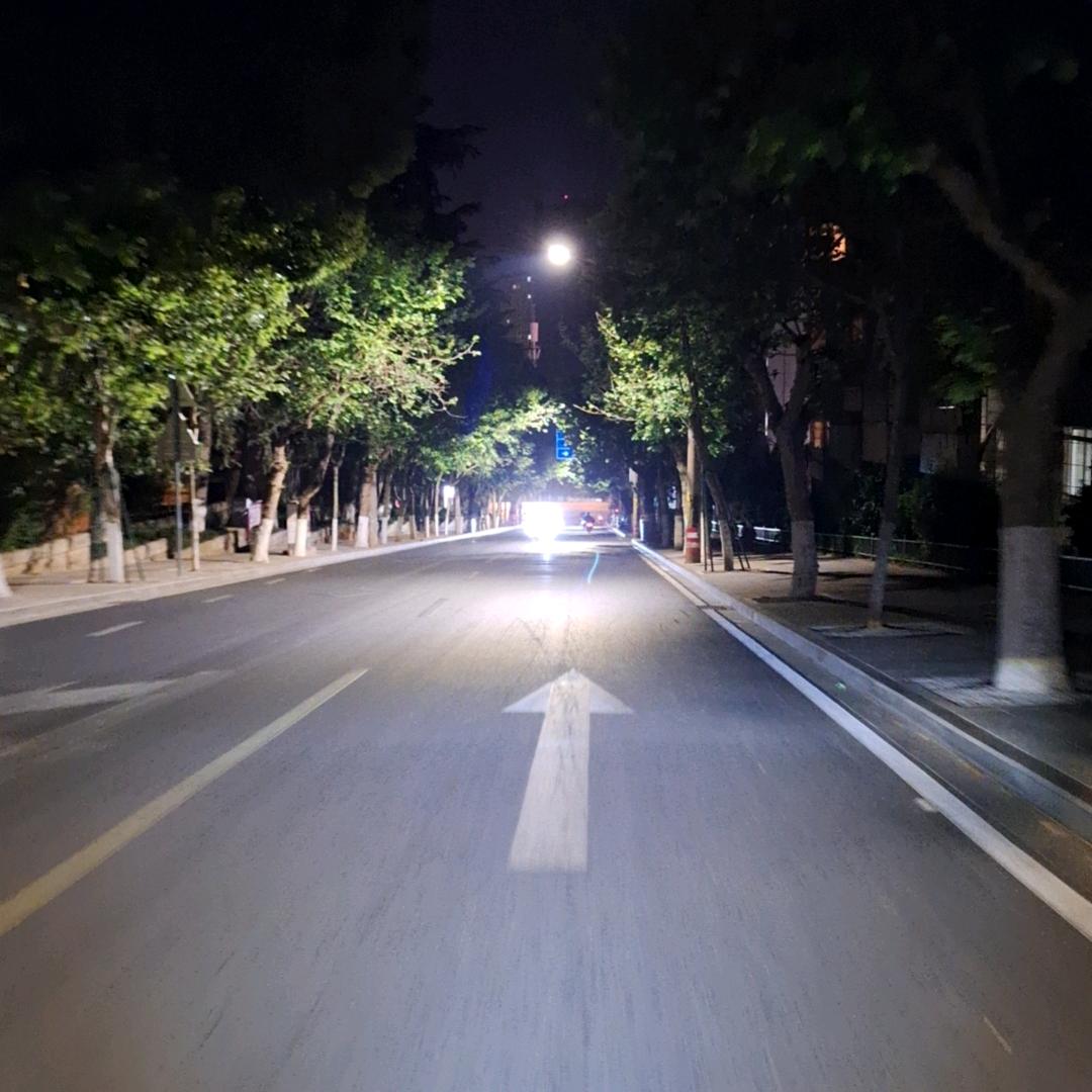 梦偏冷