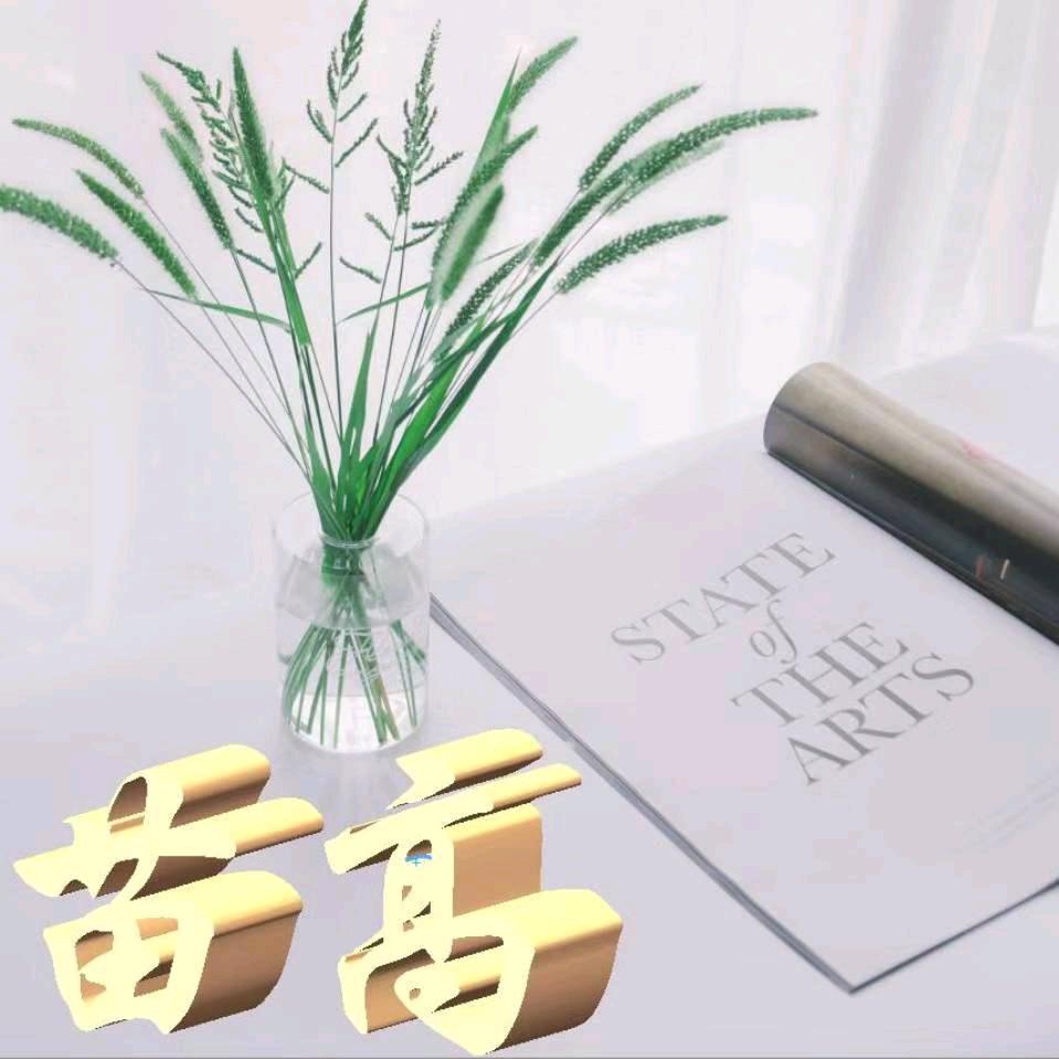 苗高