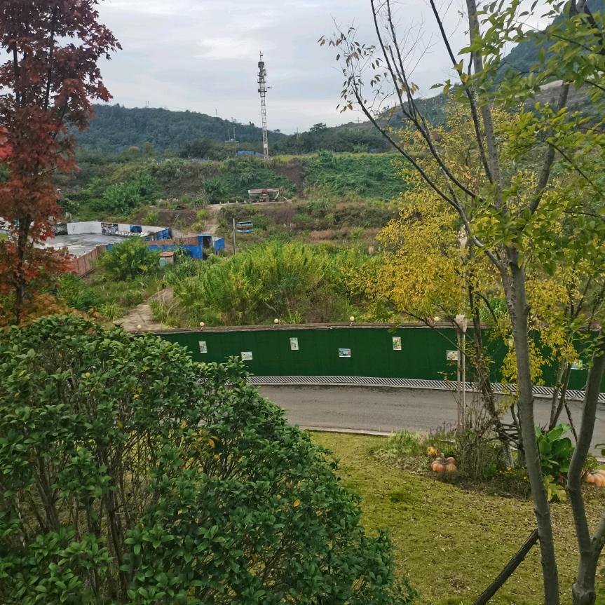 带👄刺💃的👠墙💄微